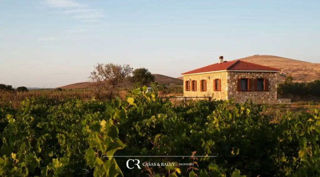 Immobiliària al Penedès cases en venda entre vinyes amb encant