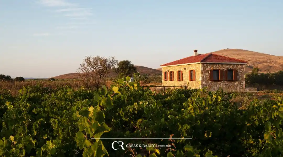 Immobiliària al Penedès cases en venda entre vinyes amb encant