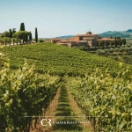Inmobiliaria especializada en masías descubre joyas rurales en venta en Cataluña